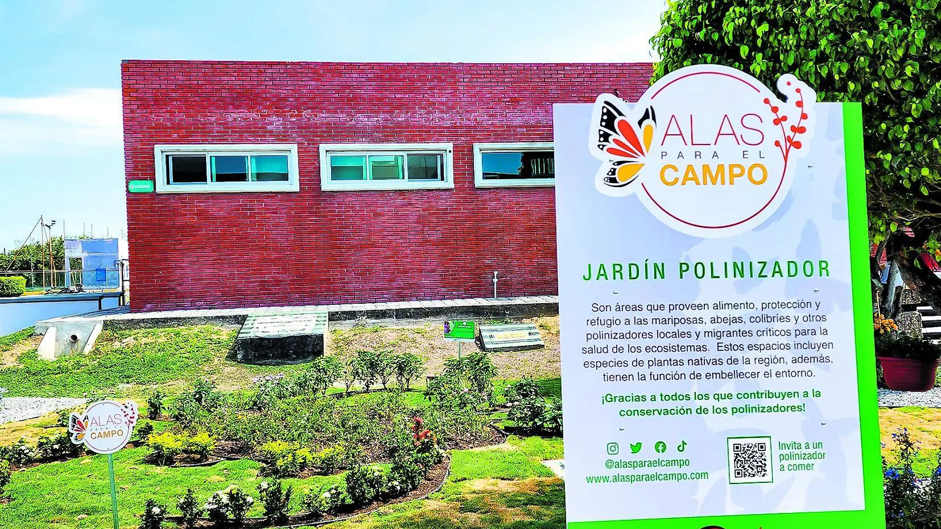 Jardín Alas para el Campo, un proyecto de BASF para crear refugios de polinizadores